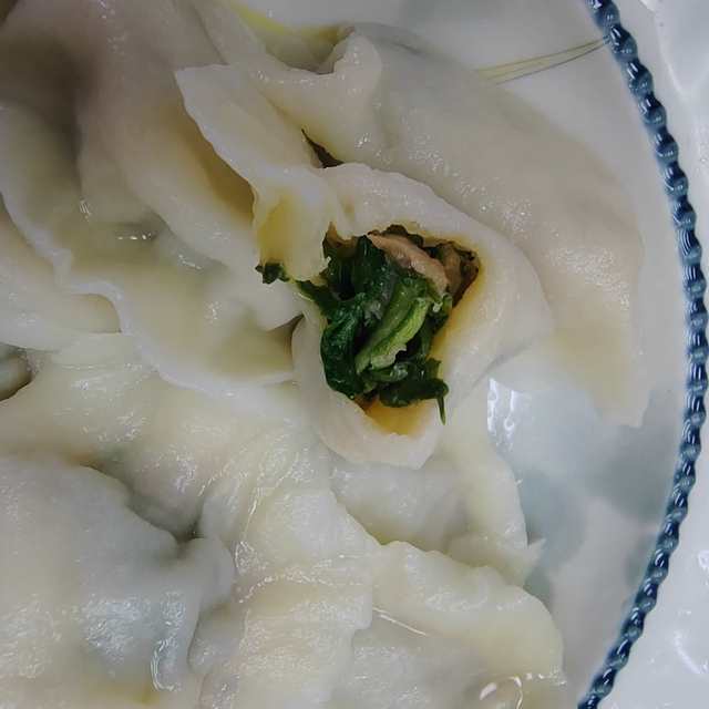 刺五加肉馅饺子