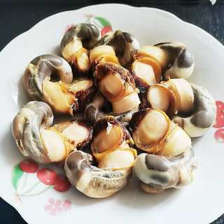 白灼拳螺